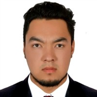 Nasim Hashemi