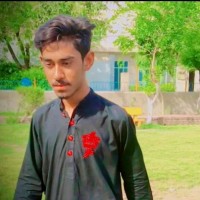 Fazzi Mmd