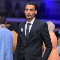Hossam Eldin Hassan