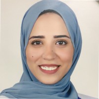Alaa Farid