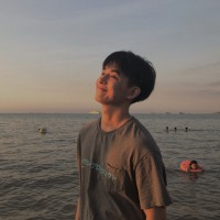 Nguyenlehoang Baohuy