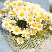 Maram Jan