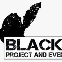 Black Cat Event Logistics