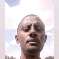 Endale Yigezu