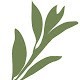 Saje Strategic Actions For A Just Economy