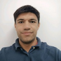 Luis Carlos Silva Rojas