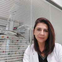Sezin Unal, MD, PhDc