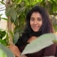 Vindhya Mohan