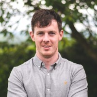 Davy Stapleton