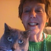 M sue Baldwin-o'dea