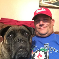 Steve Carle