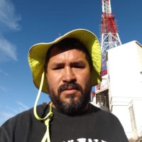 Lince Silva