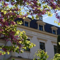 Service Communication