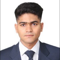 Muhammad Laraib