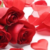 علیرضا احمدی