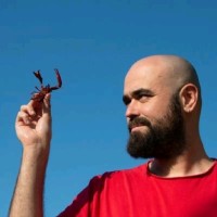 Gustavo Higón Botet