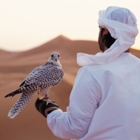 Mohammed Rashid محمد راشد