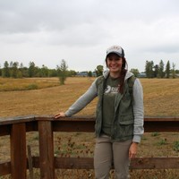 Andrea N. Chavez