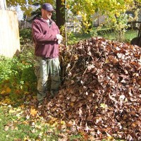 Stephen Wright  Ph.D.