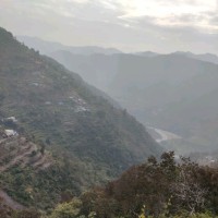 Charan Bhandari