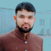 Malik Zia
