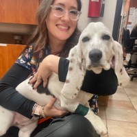 Heather Di Domizio