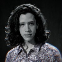 Luiz G C Buarque