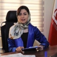 Ava Shafizadeh
