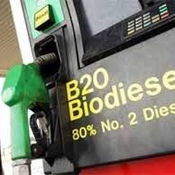 Biodiesel Industry