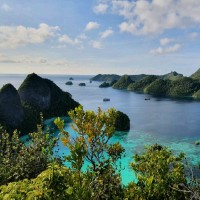 miguel Todo Santos Grau