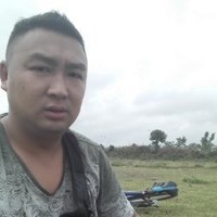陈正华
