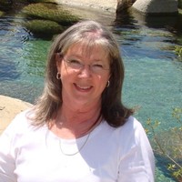 Carol Hoekstra