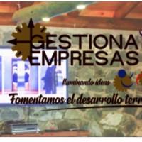 Gestión empresas Chile