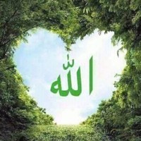 Saiful Islam