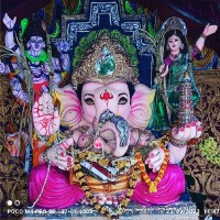 Sankar Yadav