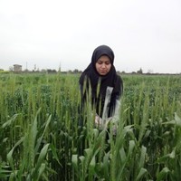 Mona Sorahi Nobar