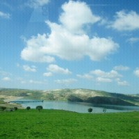 ياسين الباهي