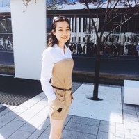 Lulu Dao, Cfa, Cpa
