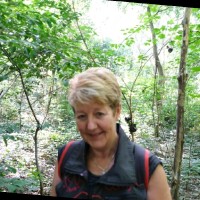 Conny Welvaert