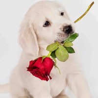 Concepcion Cacicedo Esteban