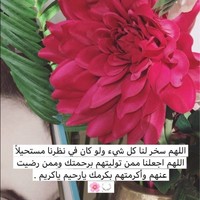 manal eid