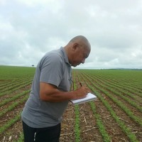Djalma Pereira Costa