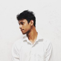 Ankit Narayan
