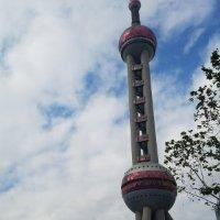 陈冠璁