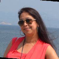 Vineet Kaur
