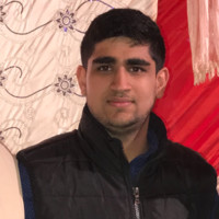 Arora Ankit