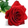 Jenifer M
