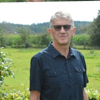 Steen Vestergaard Pedersen