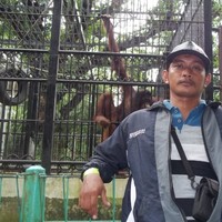 Safak Arrofiq