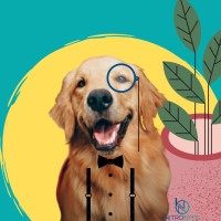 Don Brunito Gustavo Gaviria